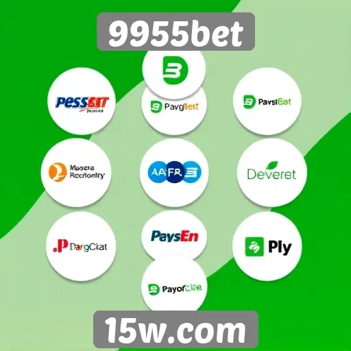 Opções de pagamento disponíveis na plataforma 9955bet